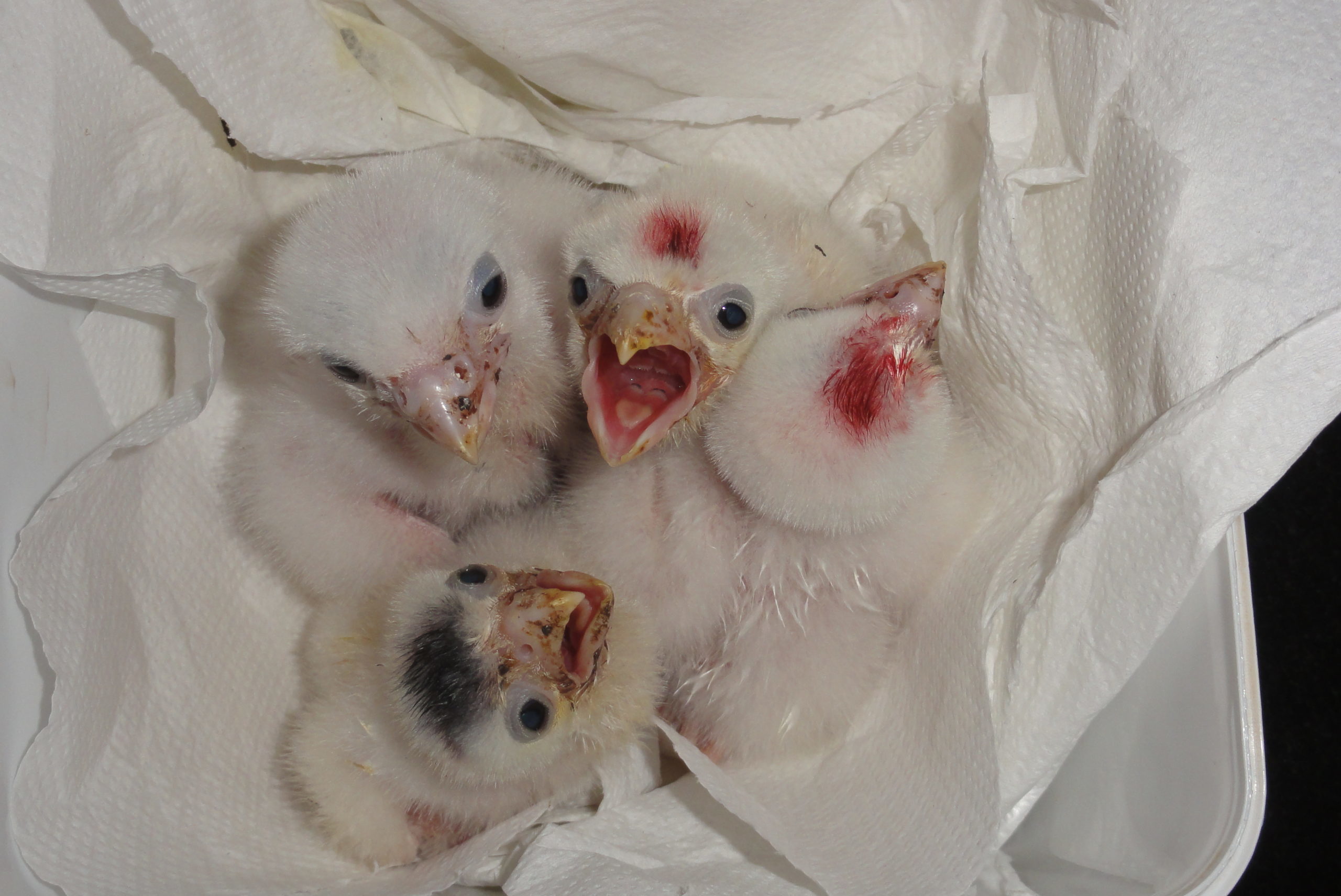 cropped-DSC02070-scaled-1.jpg