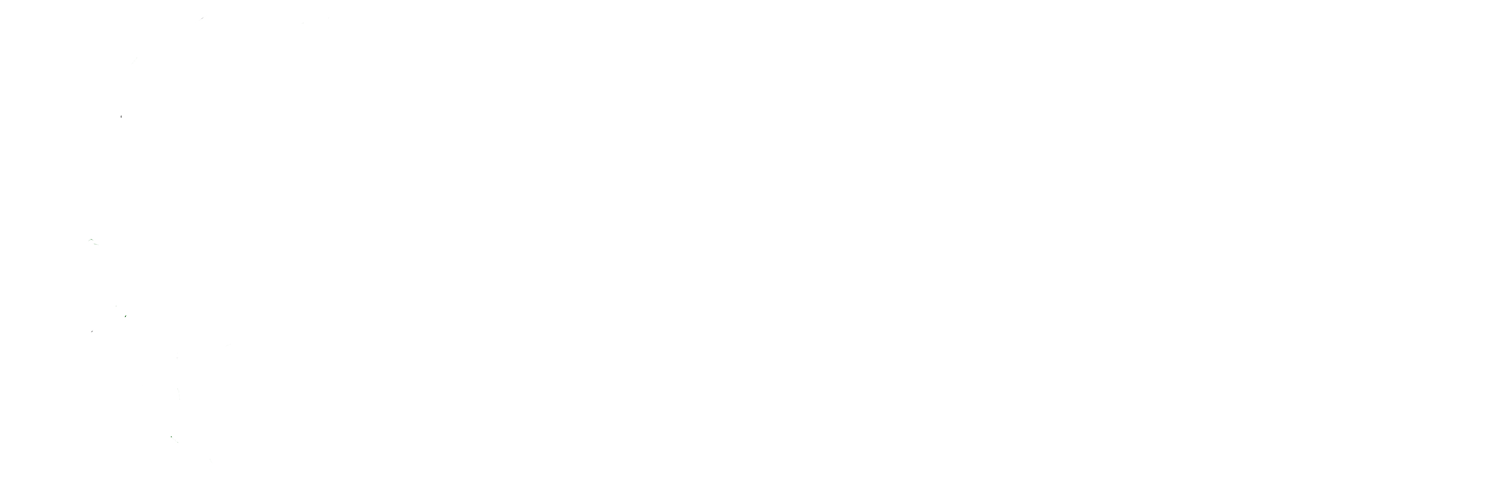 Elastotop Bird Control